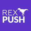 rexpush.com